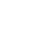 Flutter